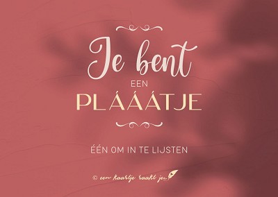 Je bent een plaatje