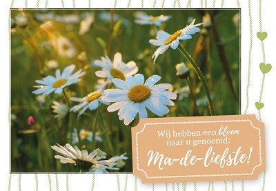 Wij hebben een bloem